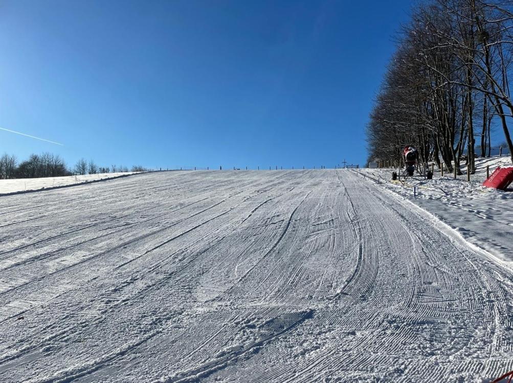Relax Pension Schonwald Budisov nad Budisovkou Esterno foto